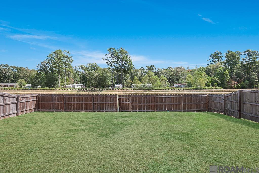 27970 Meadow Hill Ln, Denham Springs, Louisiana image 18