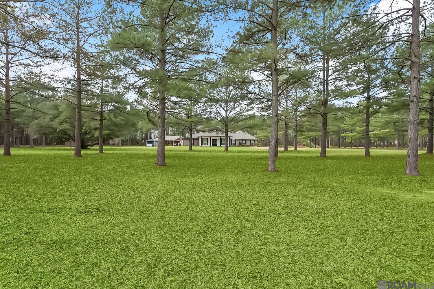 15182 Sterling Smith Rd, Roseland, Louisiana image 29