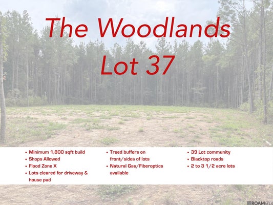 17706 COPPER PASS, LIVINGSTON, LA 70754 - Image 674cdf5cec8b2a0c83530eaa8d27b3be/845533347