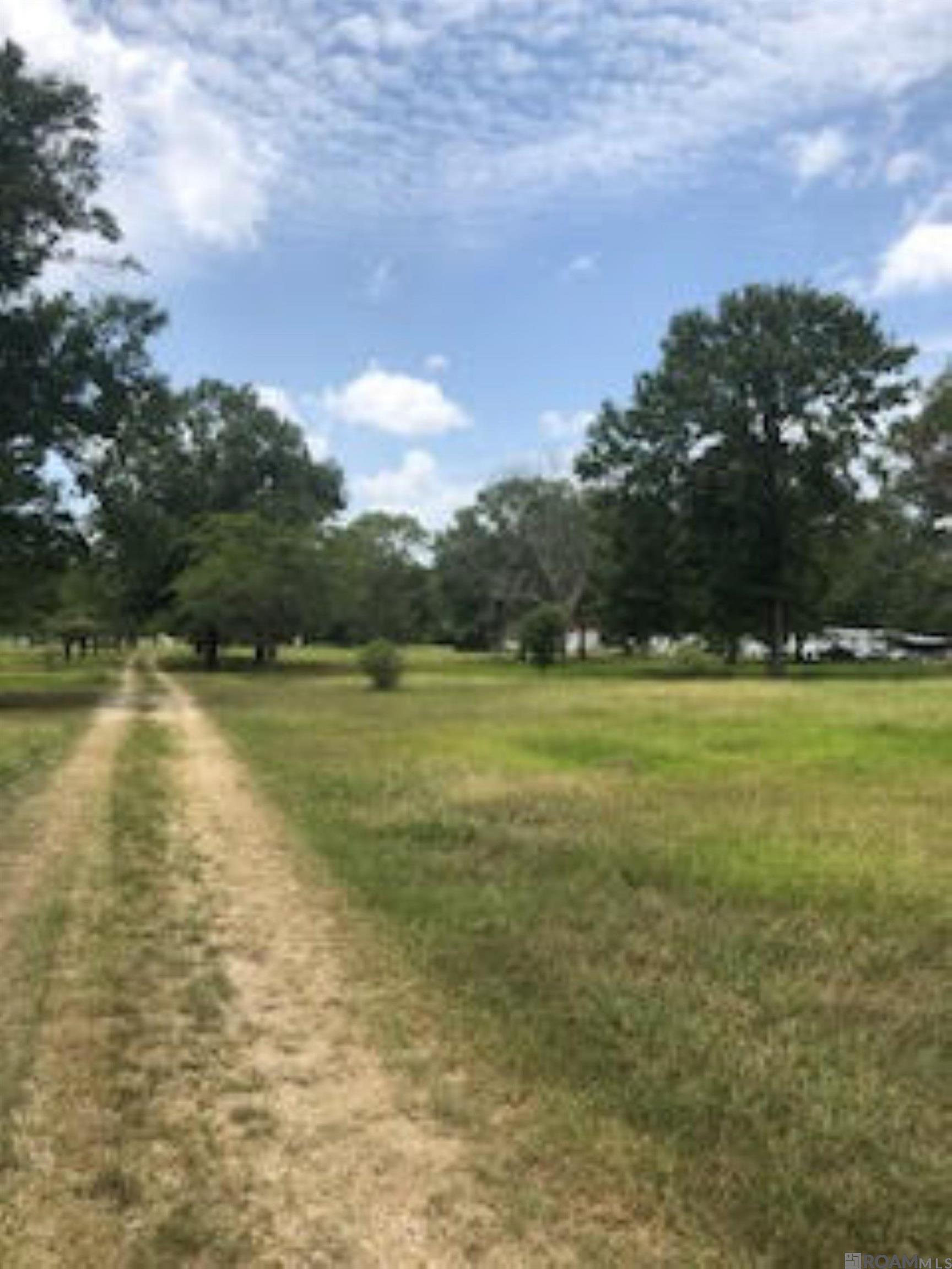 37688-B Webb Rd, Denham Springs, Louisiana image 3