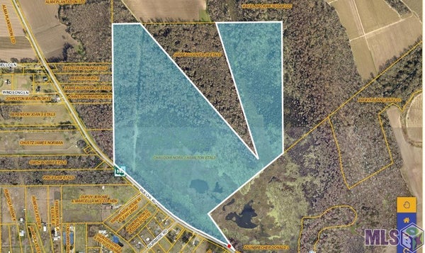 7000 BUECHE RD, BUECHE, LA 70729 - Image 67f2b4ea2ead5c6fbb86f456a63a68c2/3907145878
