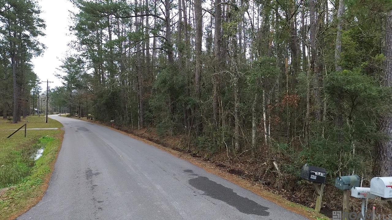 Tract C Lod Stafford Rd, Walker, Louisiana image 1