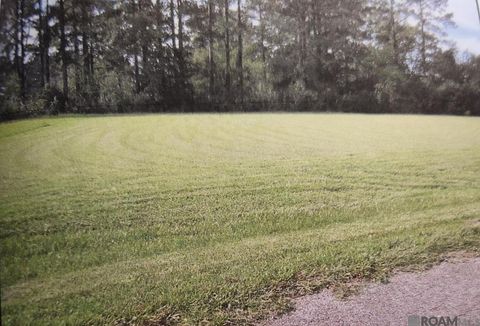 Vacant Land For Sale - Payne Rd<br/> Ethel, LA 70730