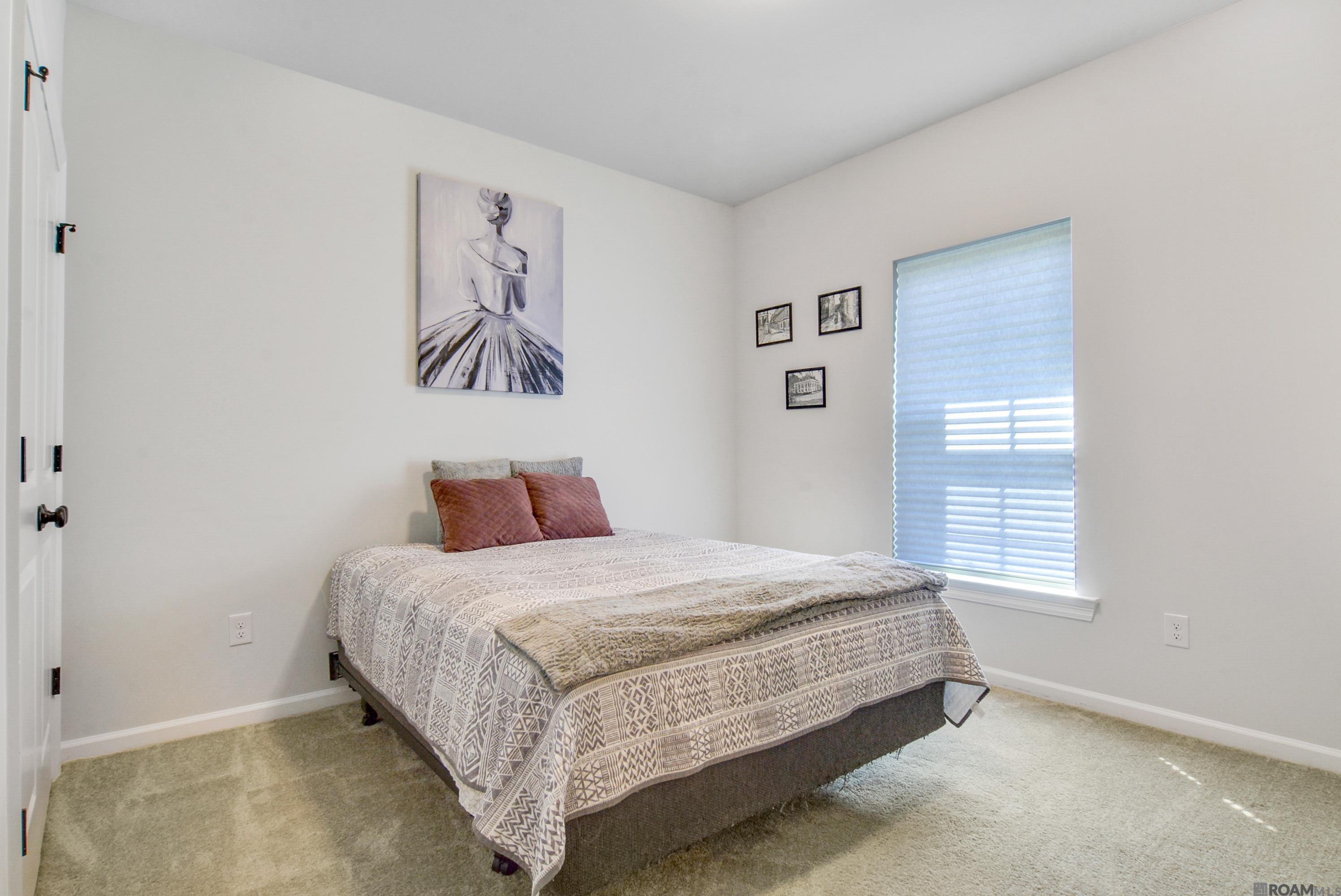 13308 Benelli Dr, Denham Springs, Louisiana image 13