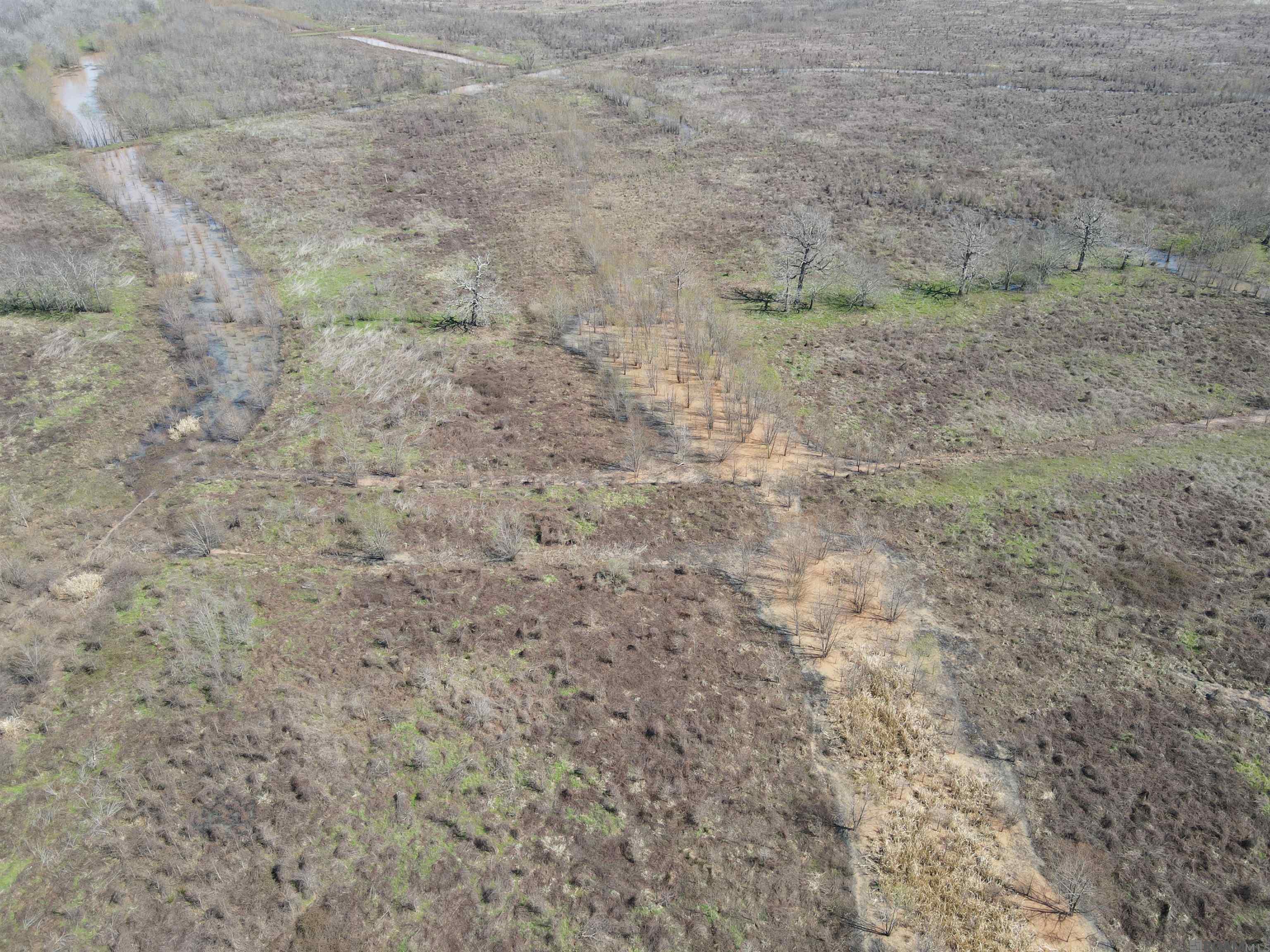 Abbington Loop, Mansfield, Louisiana image 11