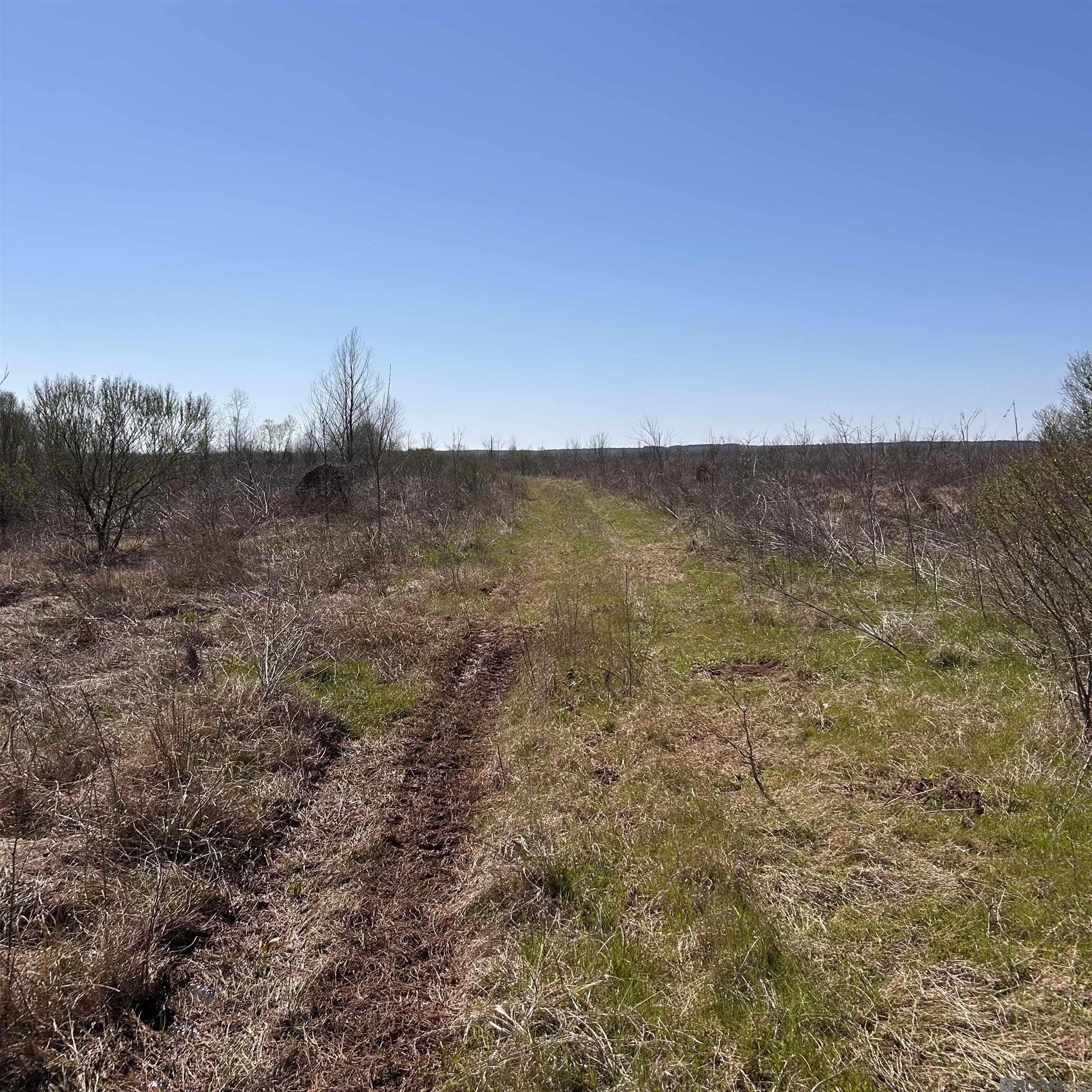 Abbington Loop, Mansfield, Louisiana image 3