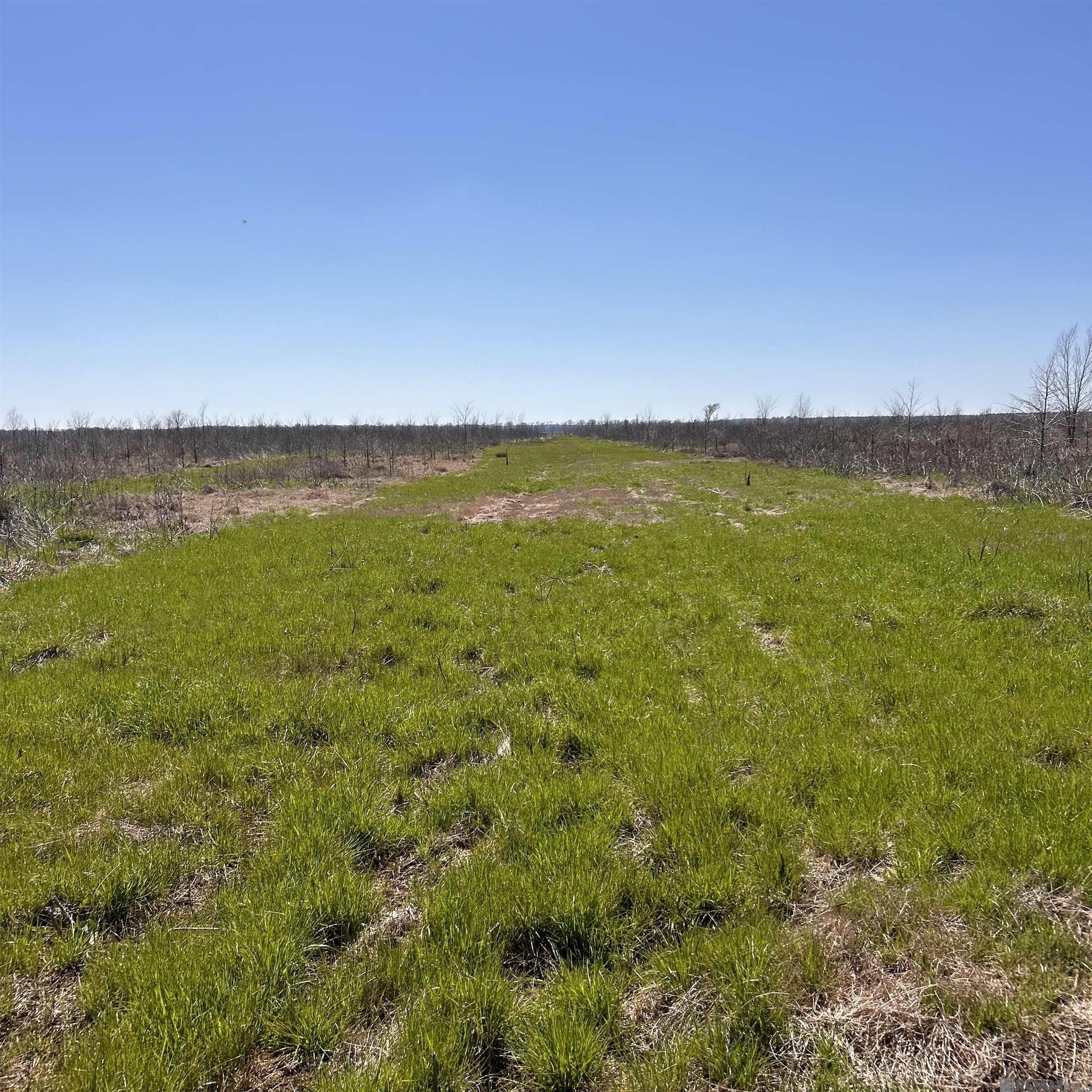 Abbington Loop, Mansfield, Louisiana image 9