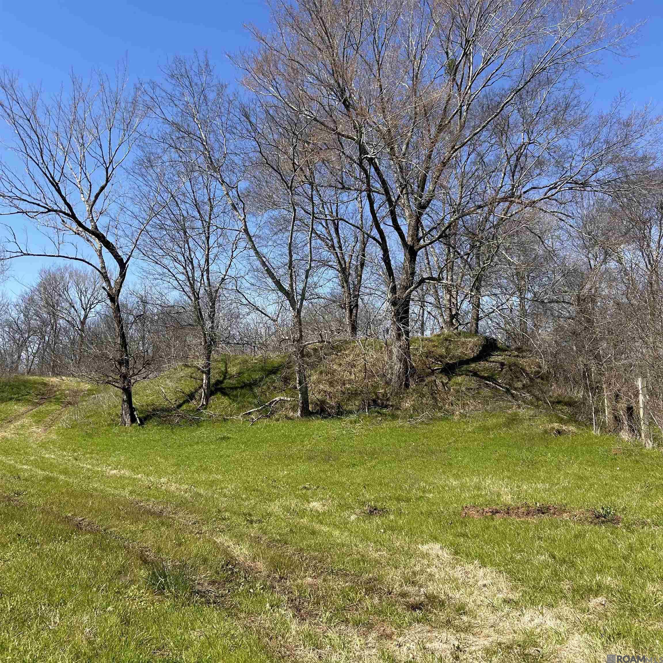Abbington Loop, Mansfield, Louisiana image 1