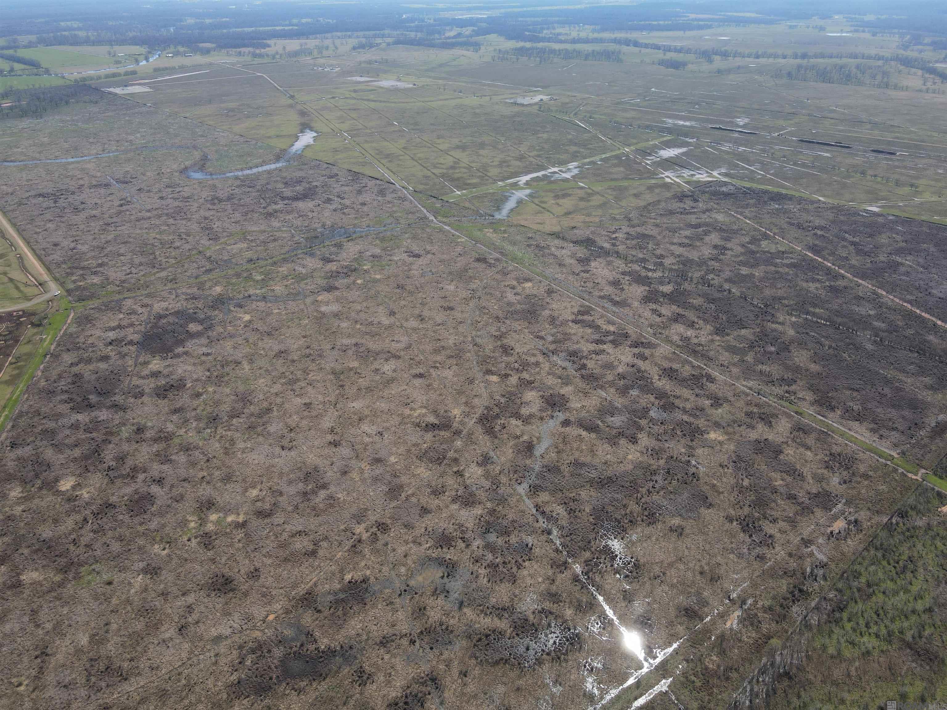Abbington Loop, Mansfield, Louisiana image 2