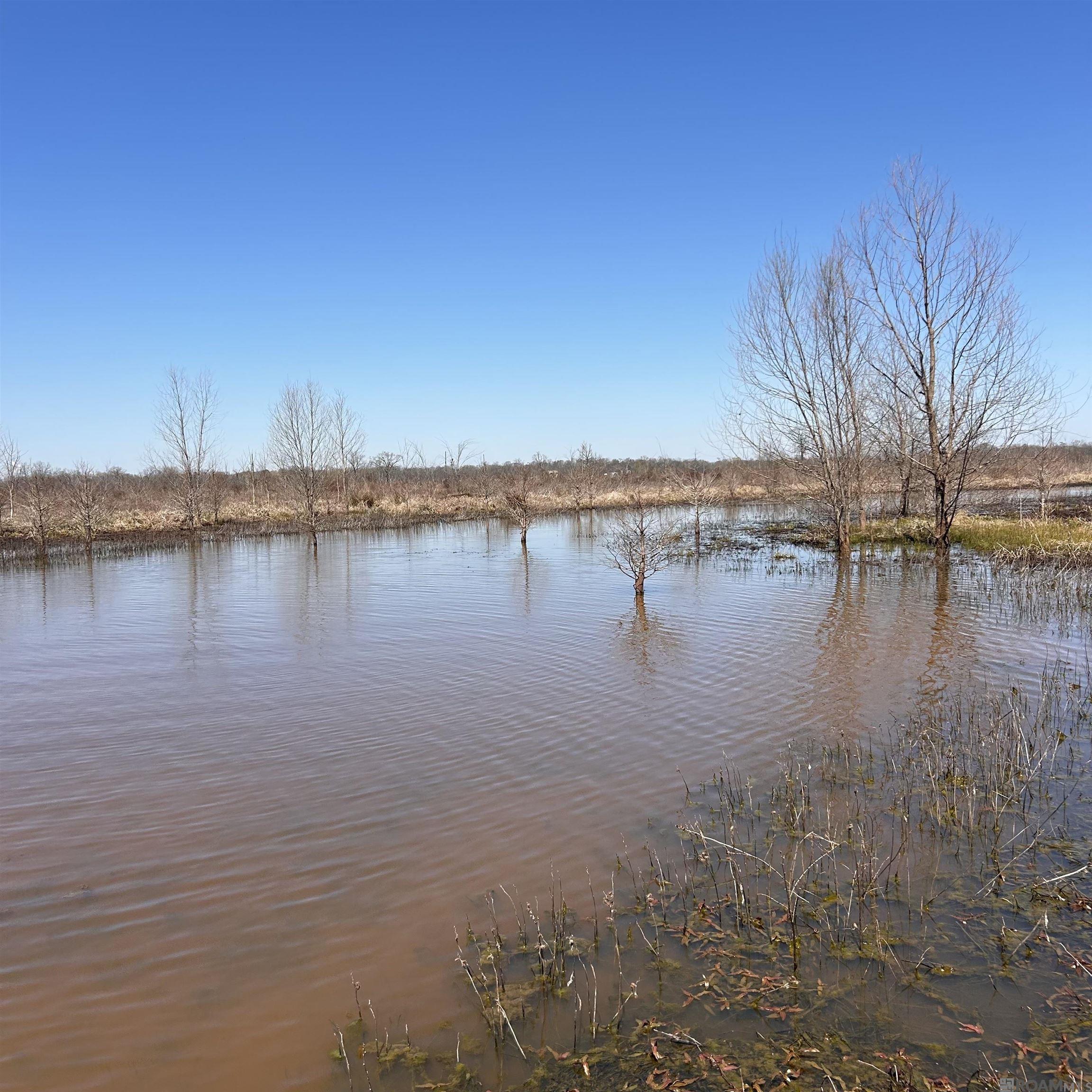 Abbington Loop, Mansfield, Louisiana image 7