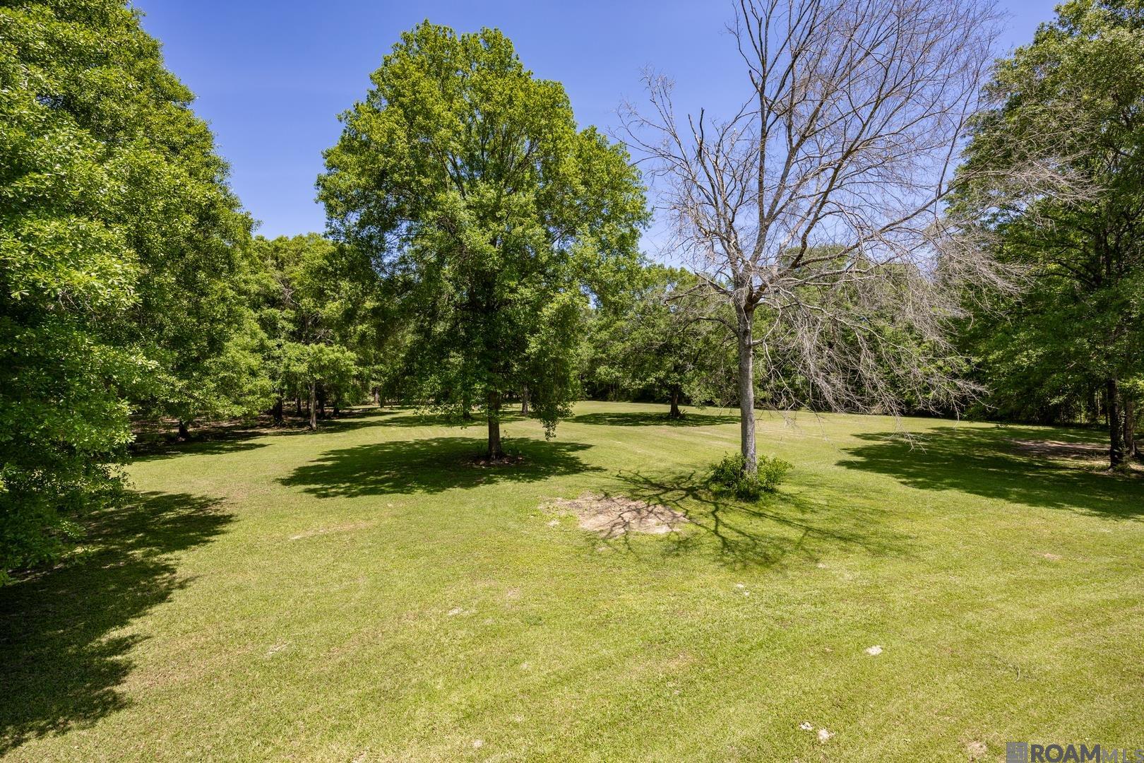 21560 Carew Harris Rd, Denham Springs, Louisiana image 18