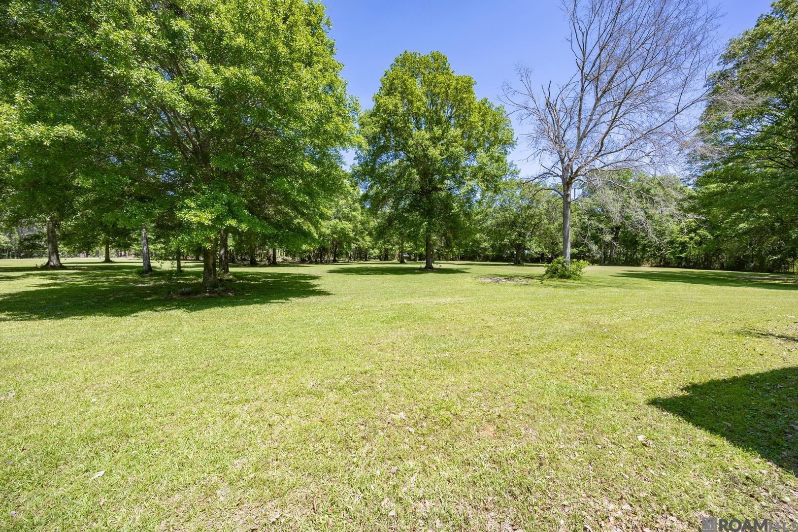 21560 Carew Harris Rd, Denham Springs, Louisiana image 8