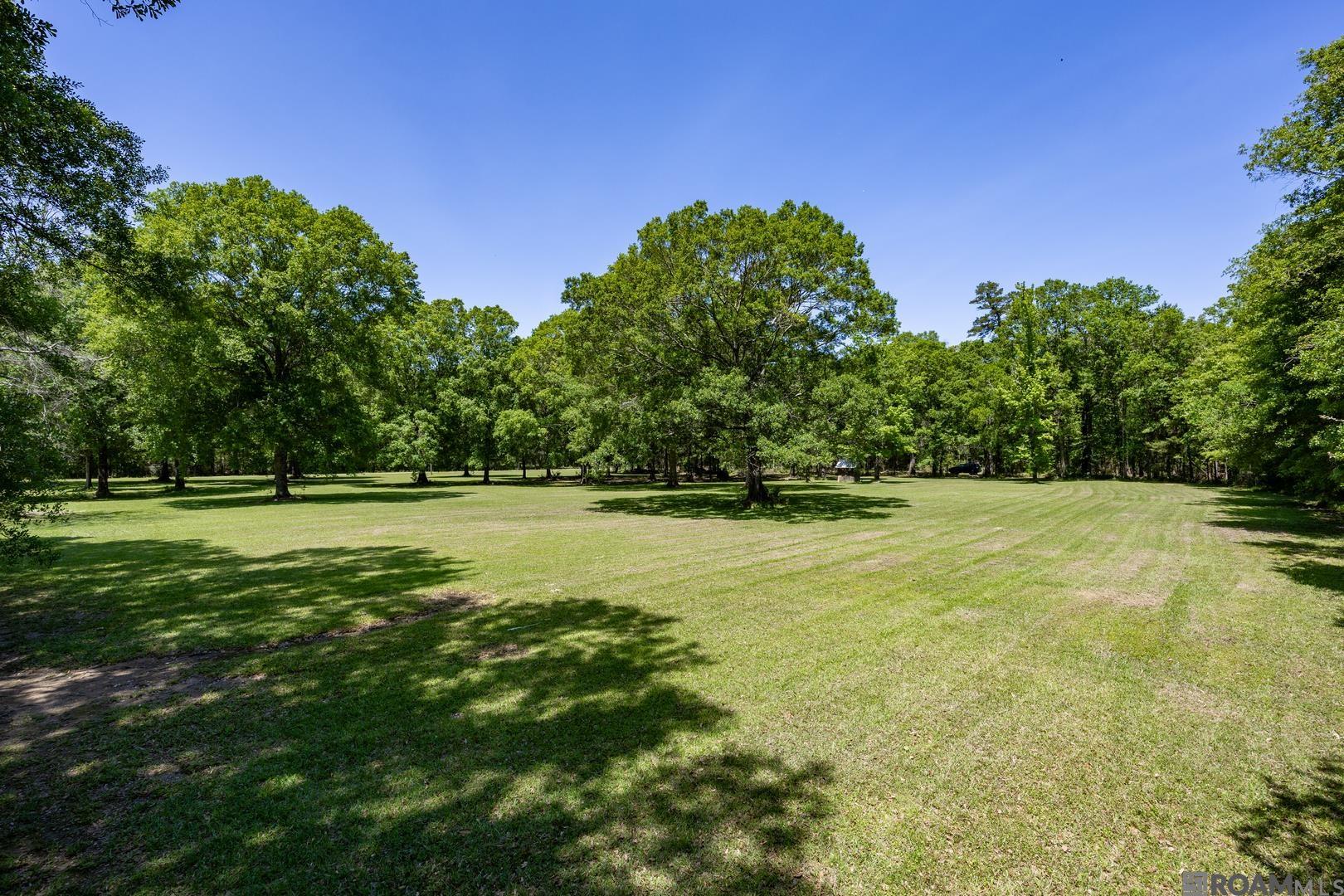 21560 Carew Harris Rd, Denham Springs, Louisiana image 14