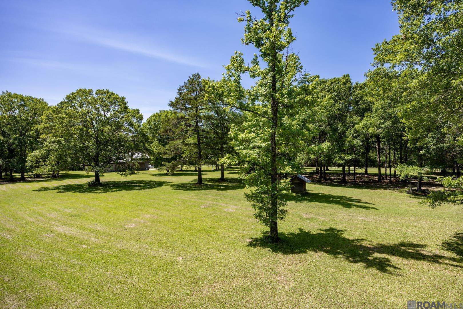 21560 Carew Harris Rd, Denham Springs, Louisiana image 12