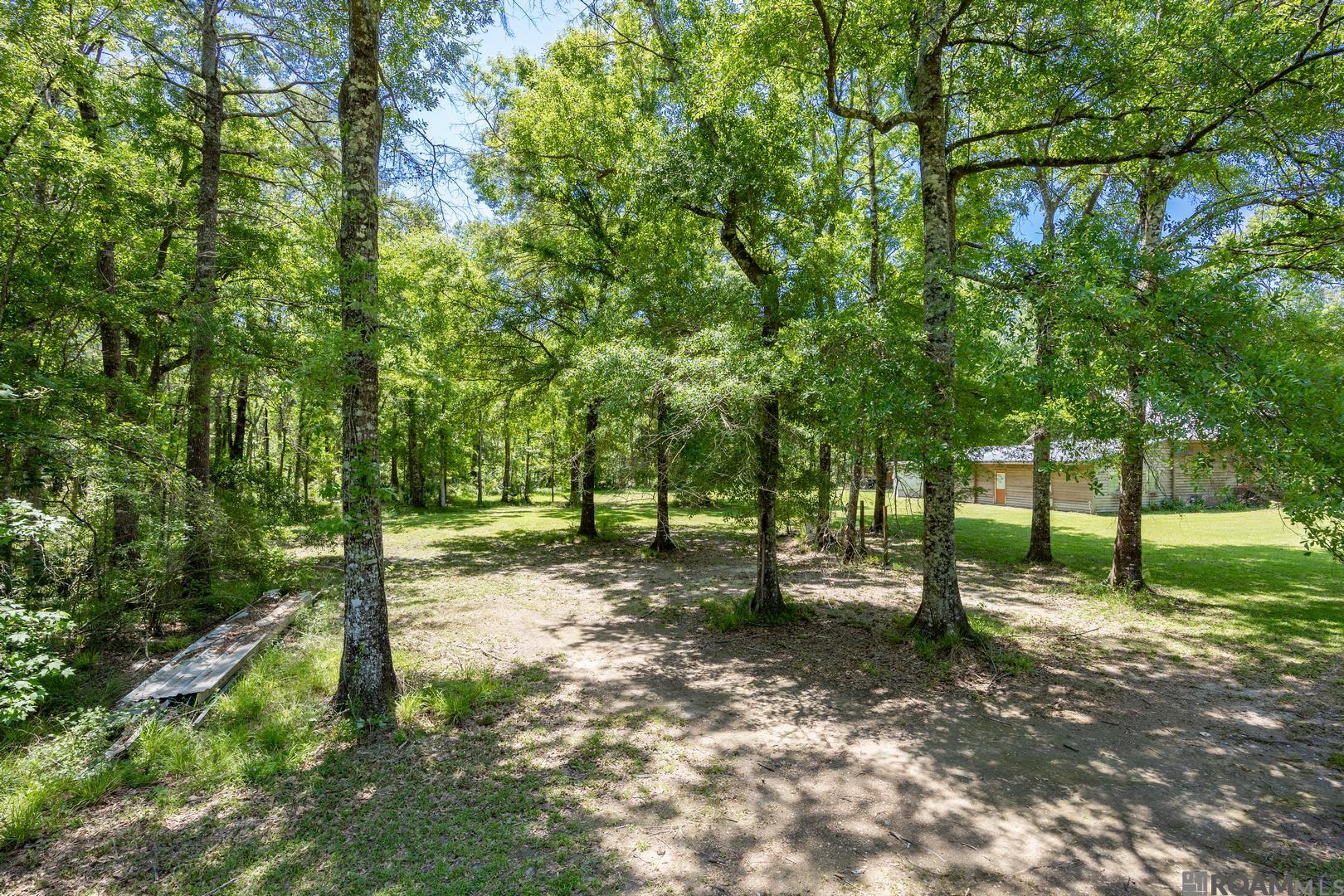 21560 Carew Harris Rd, Denham Springs, Louisiana image 15