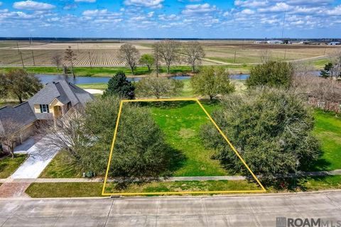 Vacant Land For Sale - TBD Stonewall Dr<br/> Iberville County, Plaquemine, LA 70764