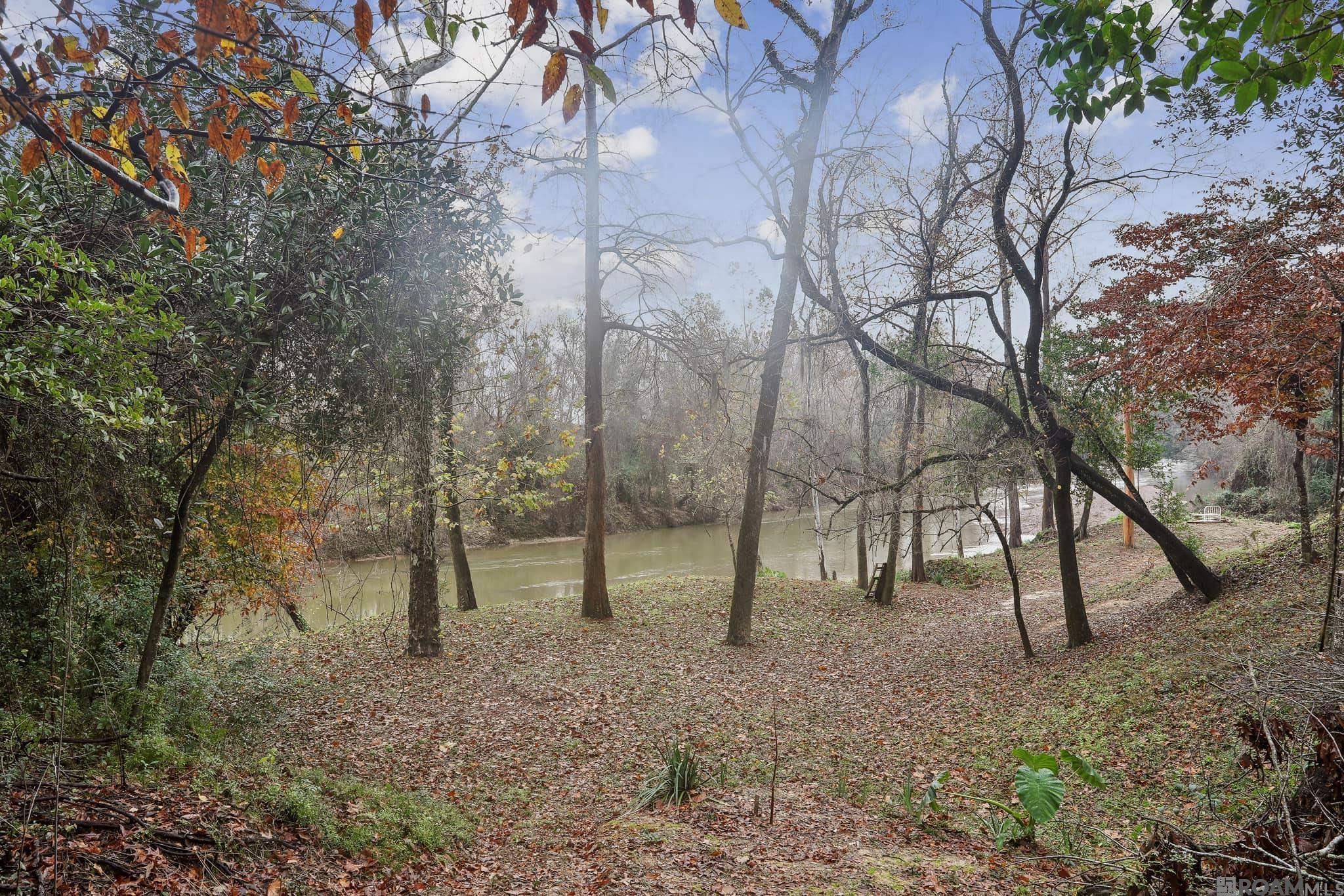 19027 Magnolia Bend Rd, Greenwell Springs, Louisiana image 34