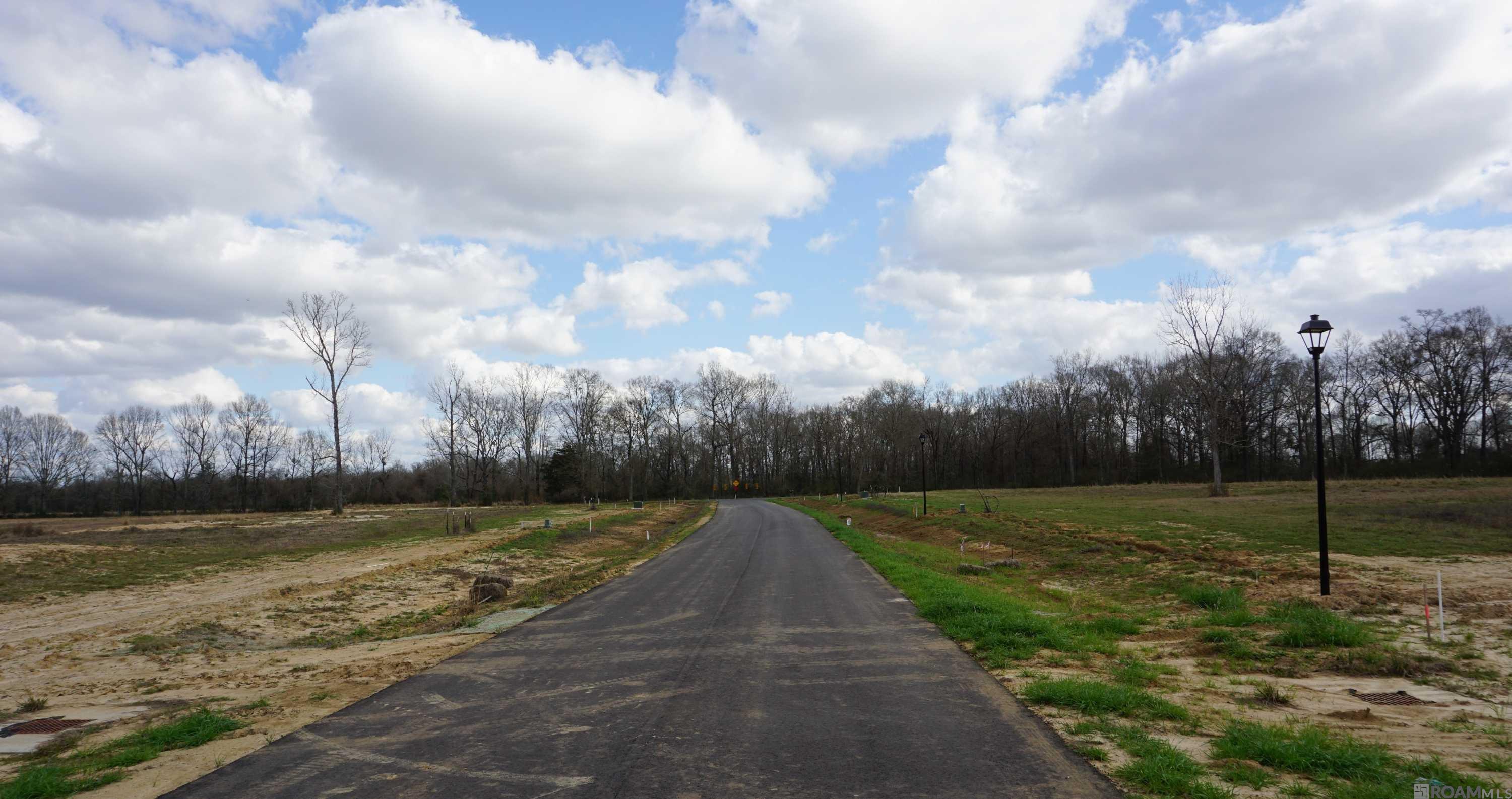 GranLake Lot 6 La Hwy 68, Jackson, Louisiana image 15