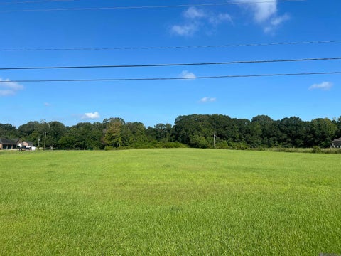 Vacant Land For Sale - 22005 Plank Rd<br/> East Baton Rouge County, Zachary, LA 70791