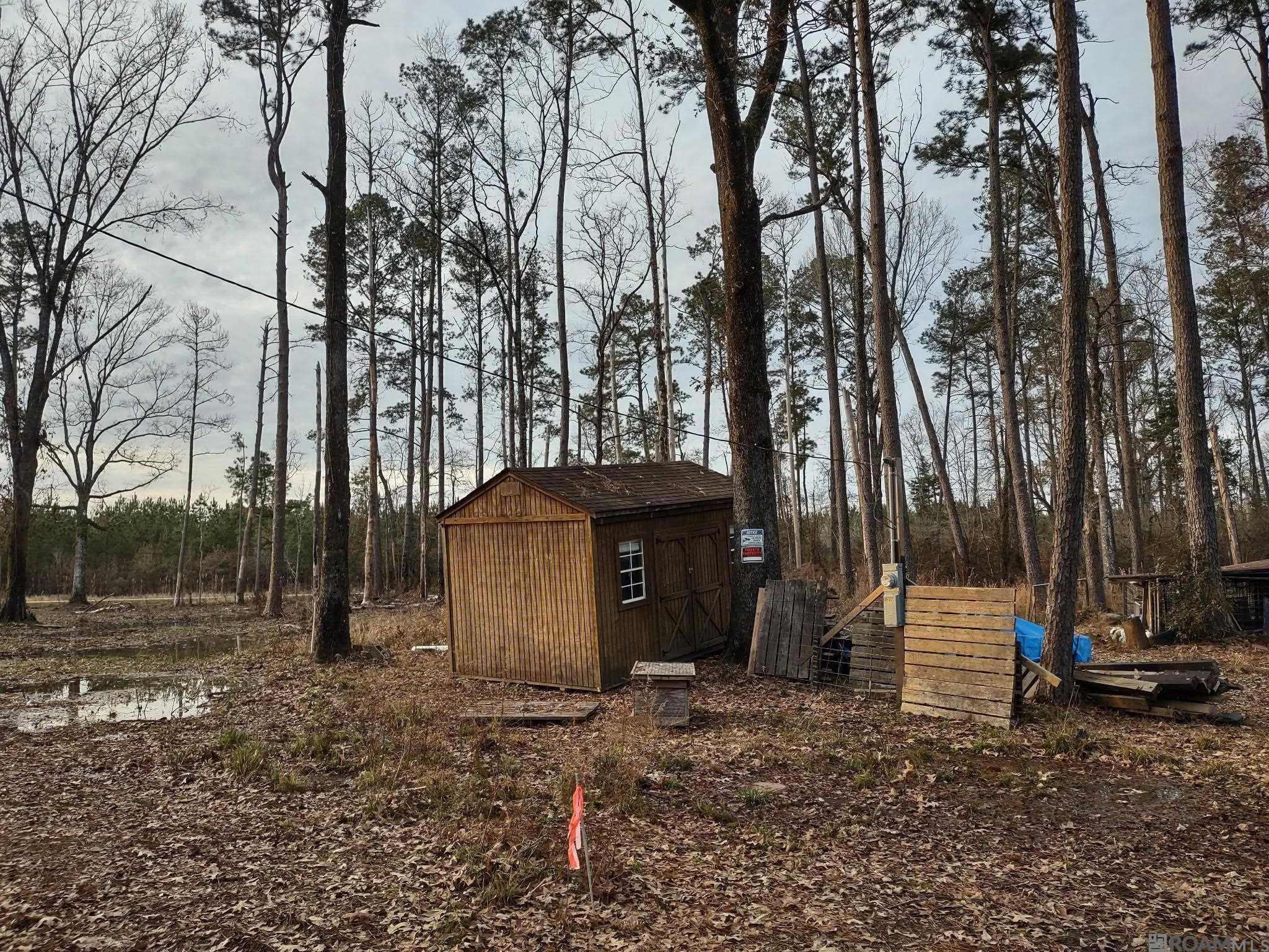 35220 La Hwy 441, Holden, Louisiana image 2