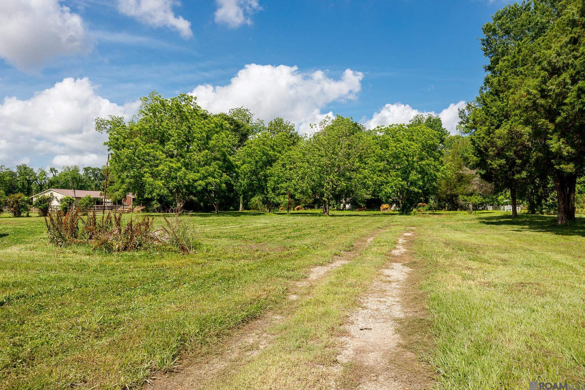 6229 Rougon Rd, Port Allen, Louisiana image 5