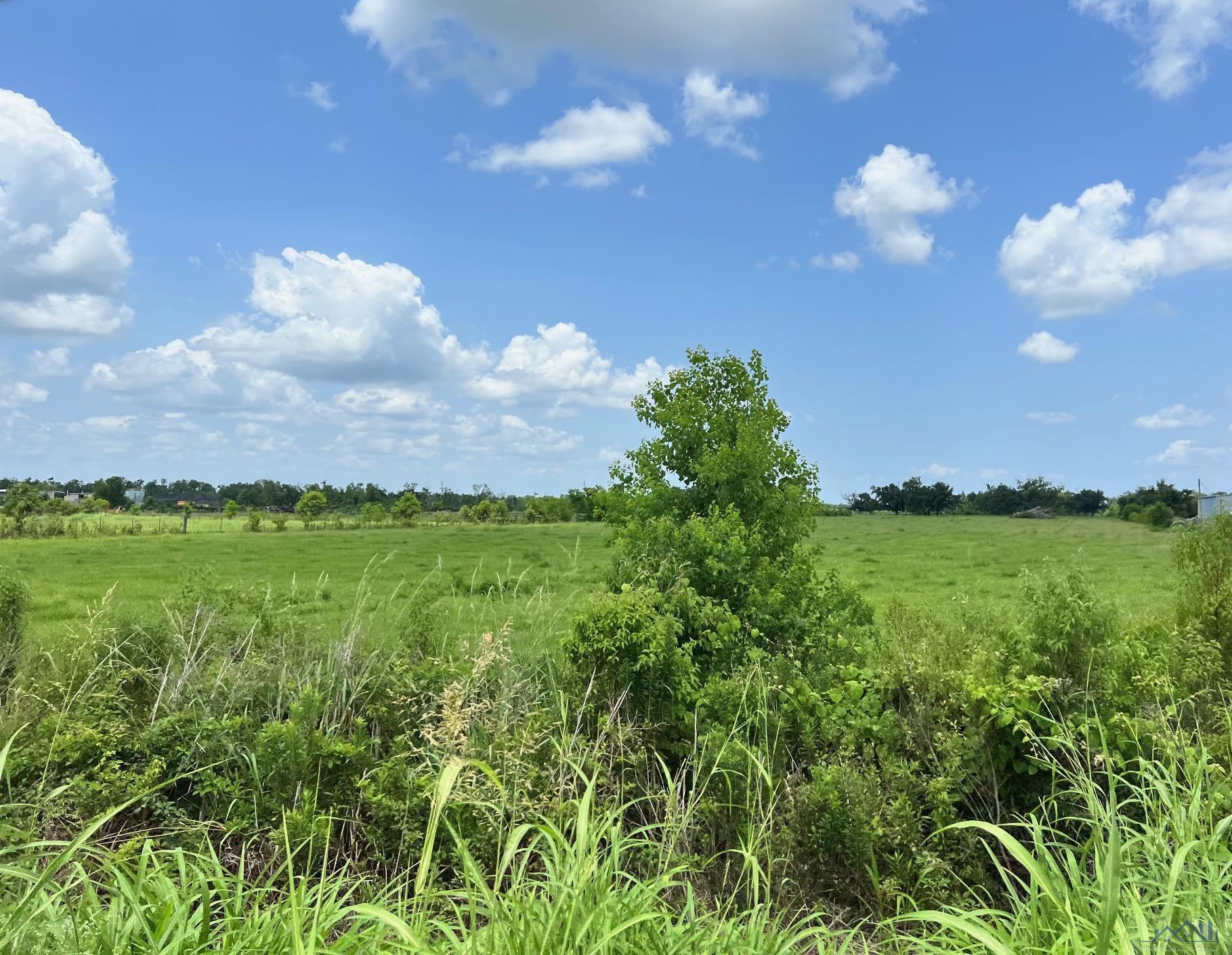 13233 East Main Street, Larose, Louisiana image 7