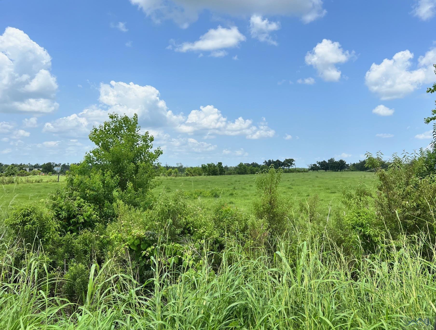 13233 East Main Street, Larose, Louisiana image 6