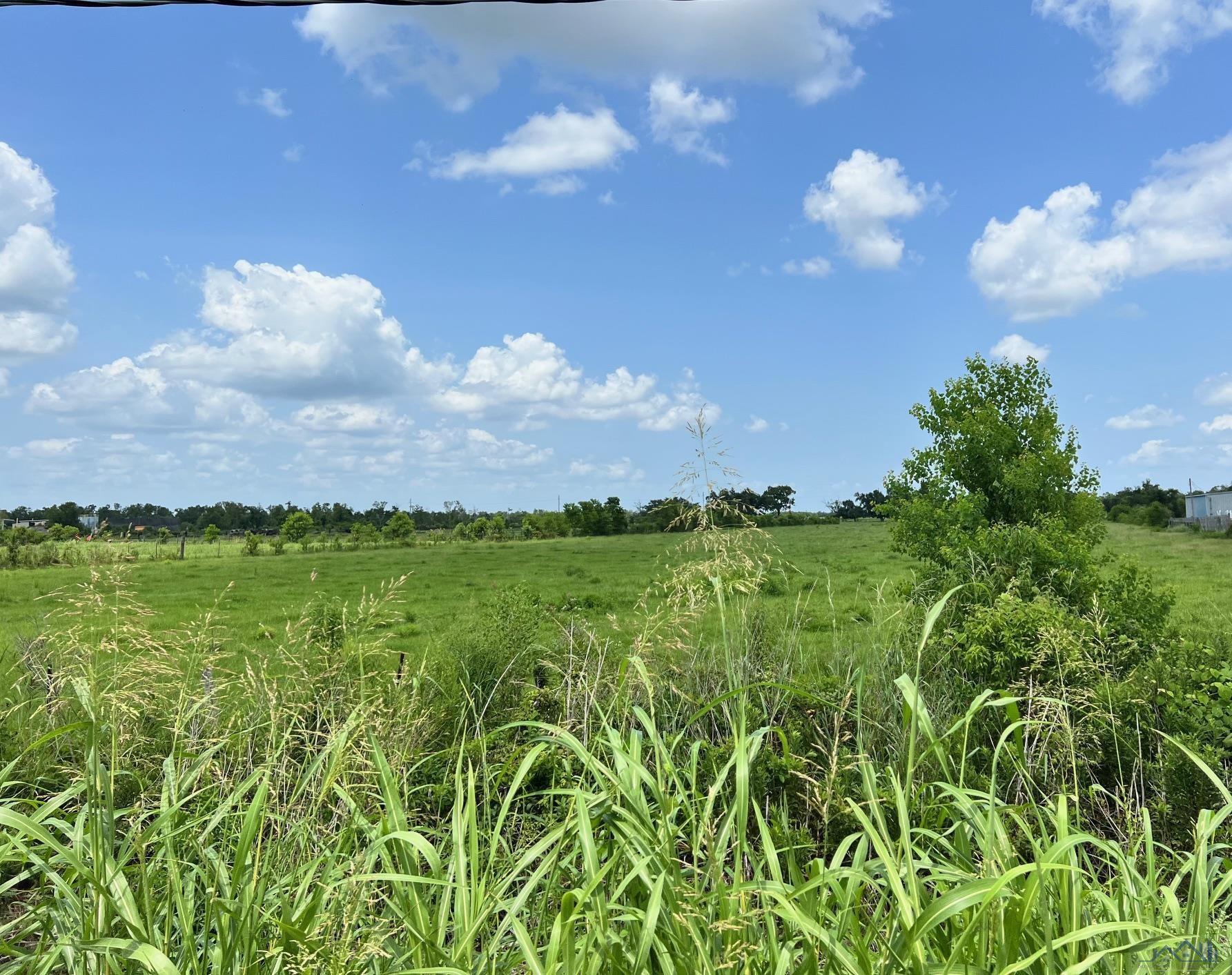 13233 East Main Street, Larose, Louisiana image 5