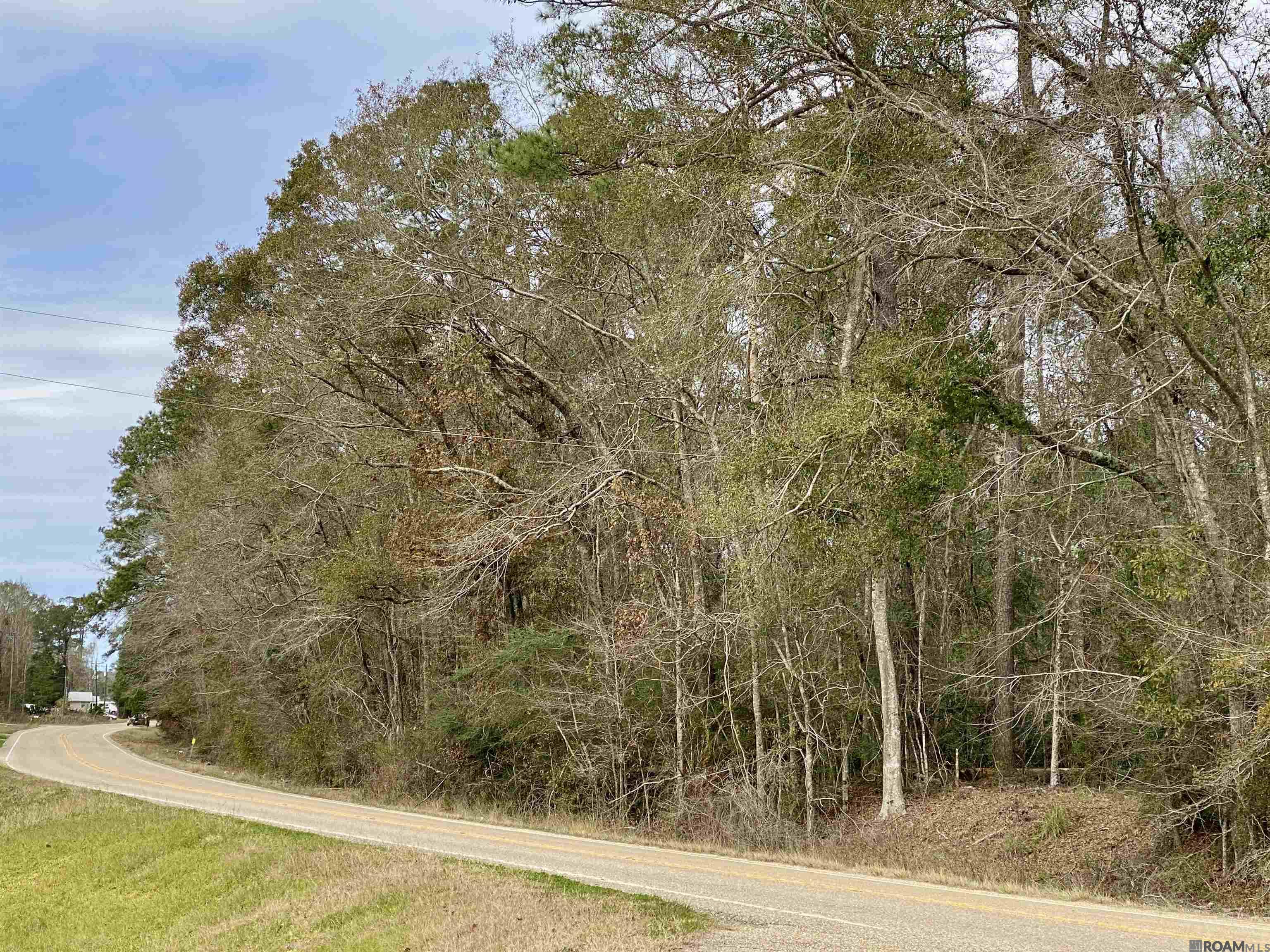 7.92 Acres La Hwy 22, Maurepas, Louisiana image 1