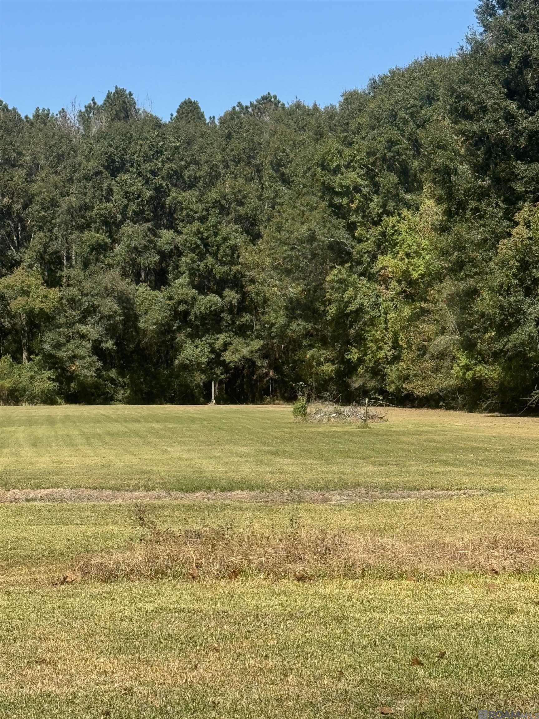 5555 Rolling Acres Dr, Baker, Louisiana image 4