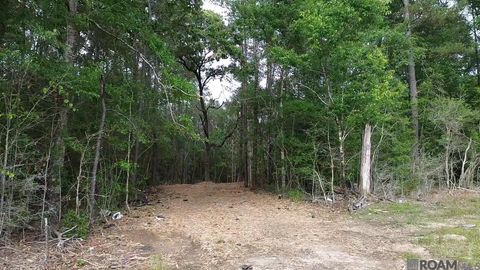 Vacant Land For Sale - 83166 Isabel Swamp Road<br/> Bush, LA 70431