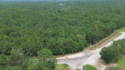 Vacant Land For Sale - 83166 Isabel Swamp Road<br/> Bush, LA 70431