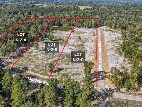 Vacant Land For Sale - N-2-C Milldale Rd<br/> Zachary, LA 70791