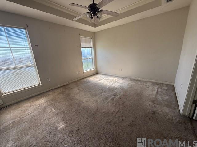 22800 Aidan Rd, Plaquemine, Louisiana image 8