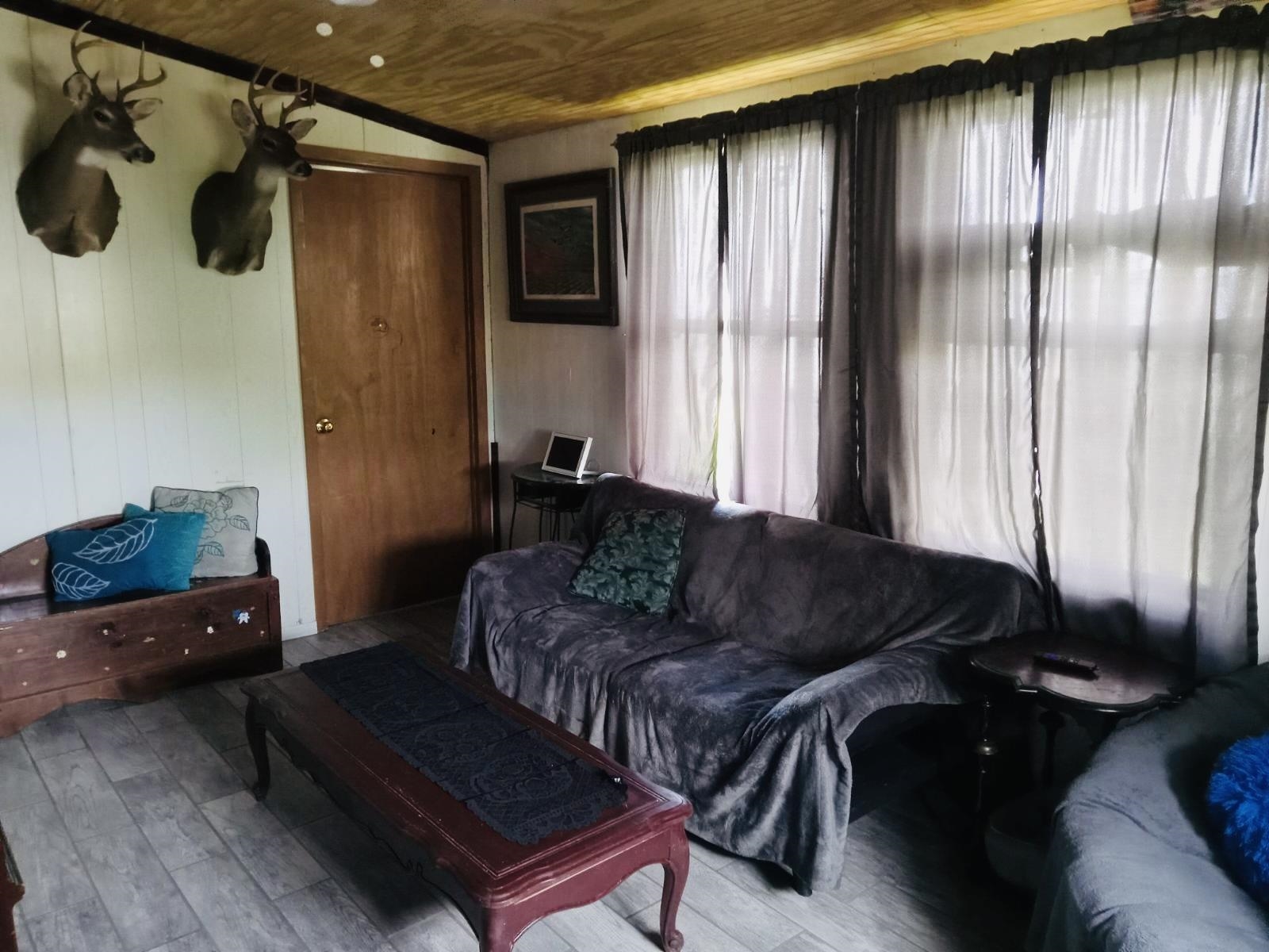 137 Aurora Lane, Grand Isle, Louisiana image 4