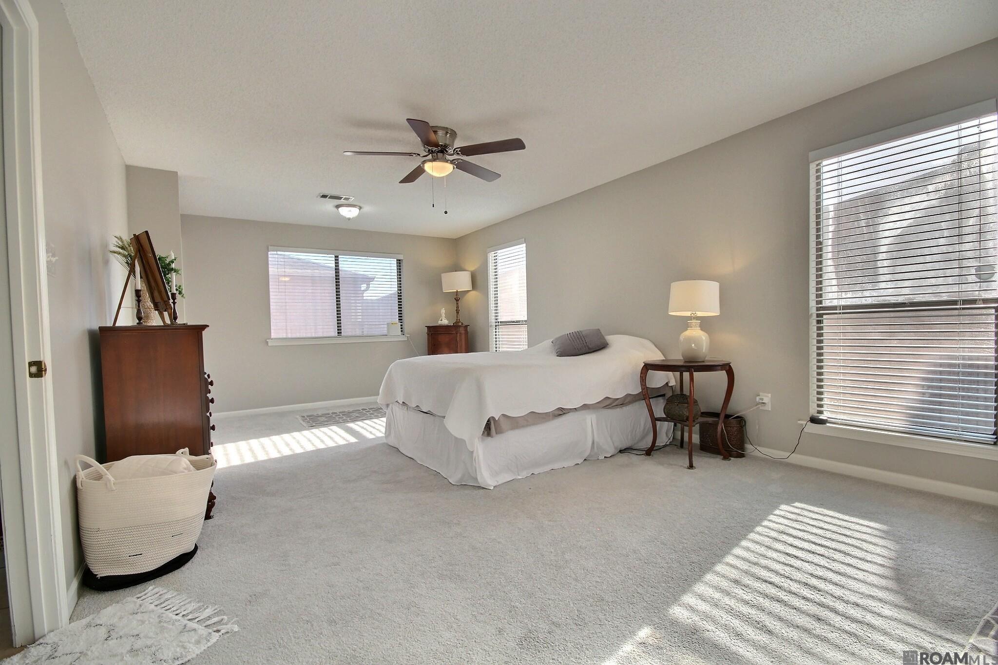 2534 Torrey Pine Dr, Baton Rouge, Louisiana image 12