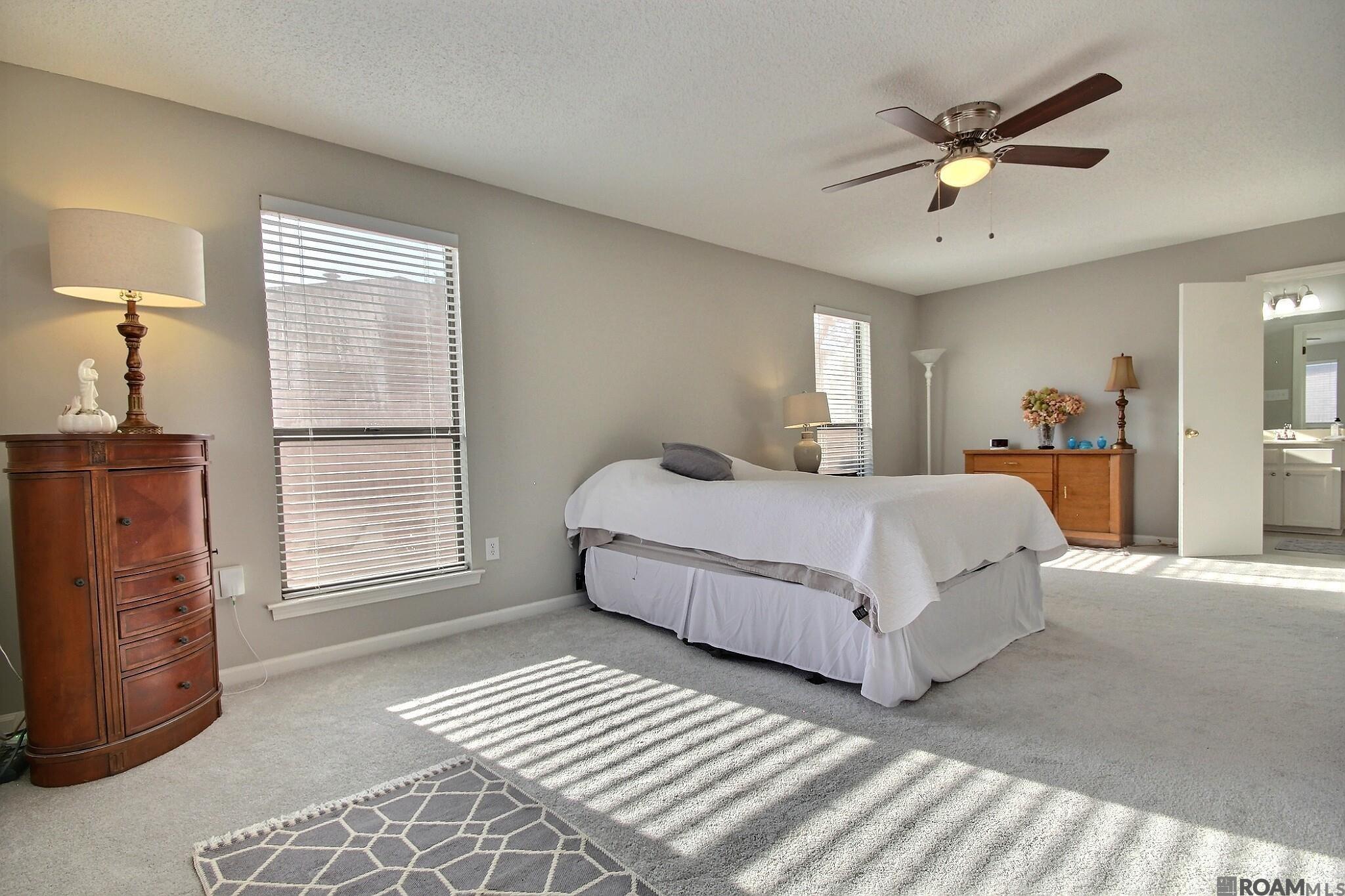 2534 Torrey Pine Dr, Baton Rouge, Louisiana image 13