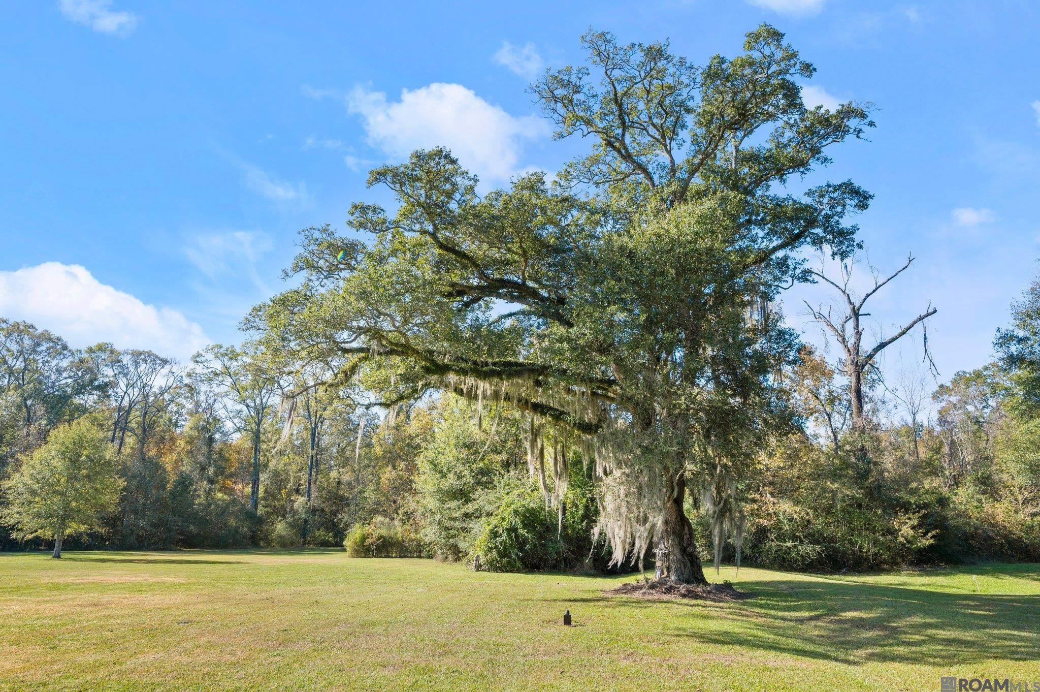 1242 Kings View Cir, Jackson, Louisiana image 10