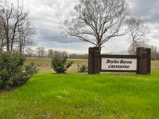 LEMON RD, SLAUGHTER, LA 70777 - Image 6f87d6df78068457bcfe36337e2e0eba/3366255376