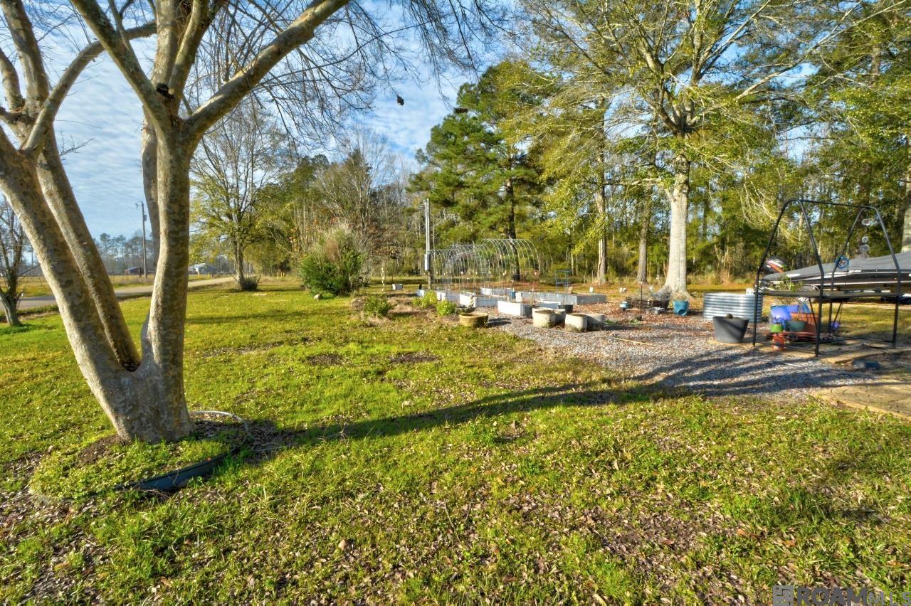 33159 Mangum Chapel Rd, Walker, Louisiana image 49