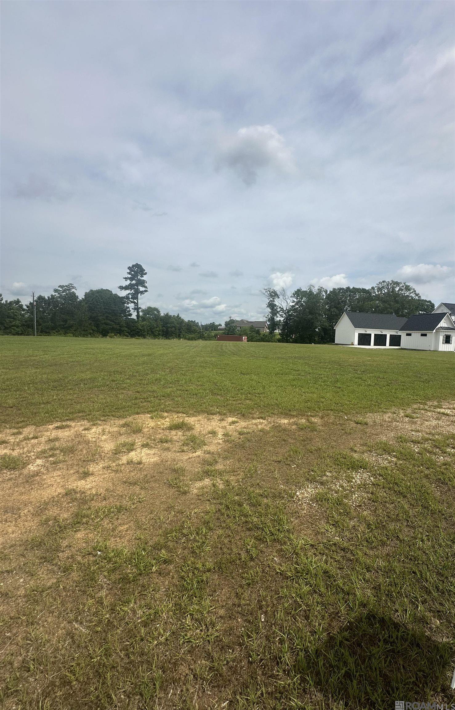 Lot C Uncle Sons Ln, Denham Springs, Louisiana image 2