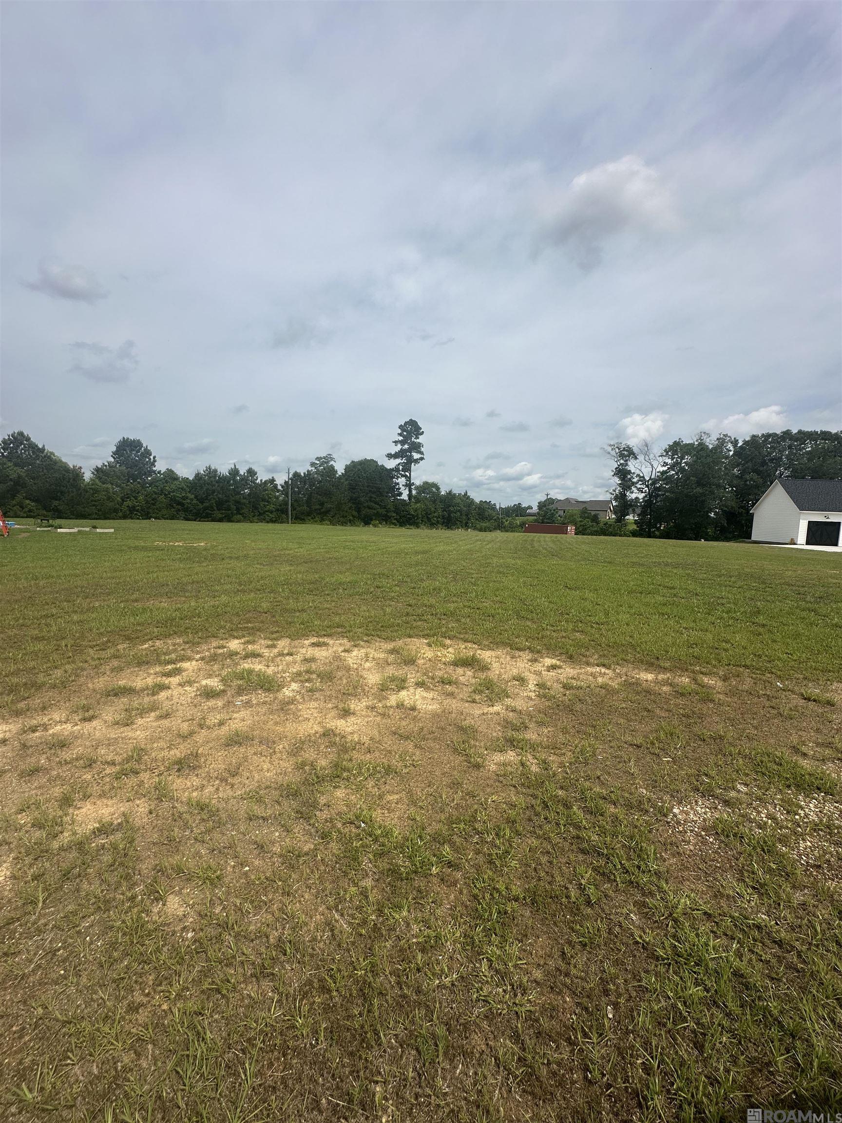 Lot C Uncle Sons Ln, Denham Springs, Louisiana image 1