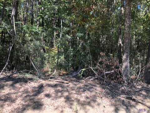 Vacant Land For Sale - TBD Gross Rd<br/> Clinton, LA 70722