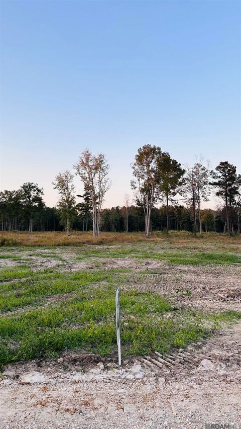 Vacant Land For Sale - 16425 Peacock Drive<br/> Walker, LA 70785