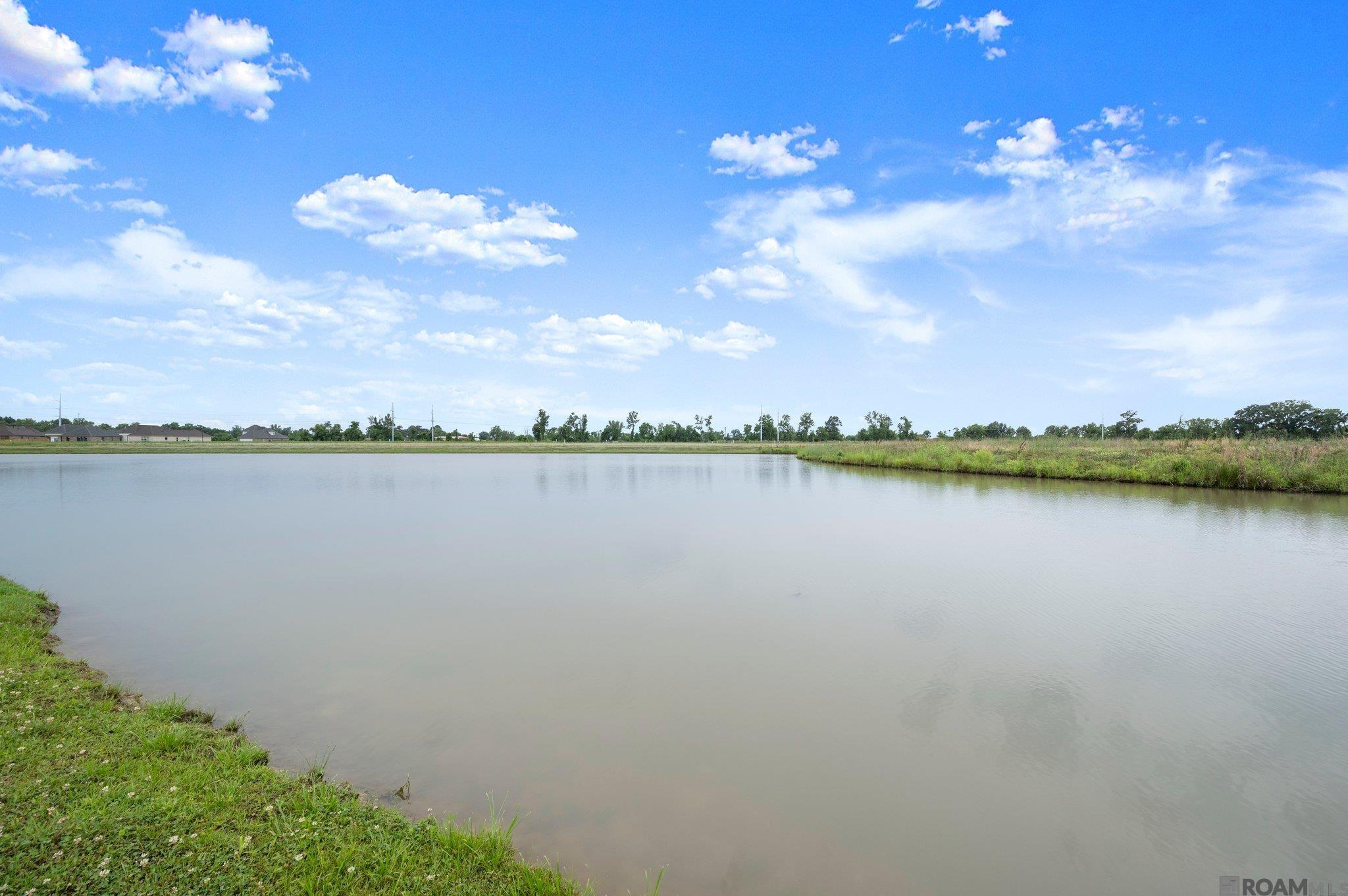 5207 White River Rd, Darrow, Louisiana image 20