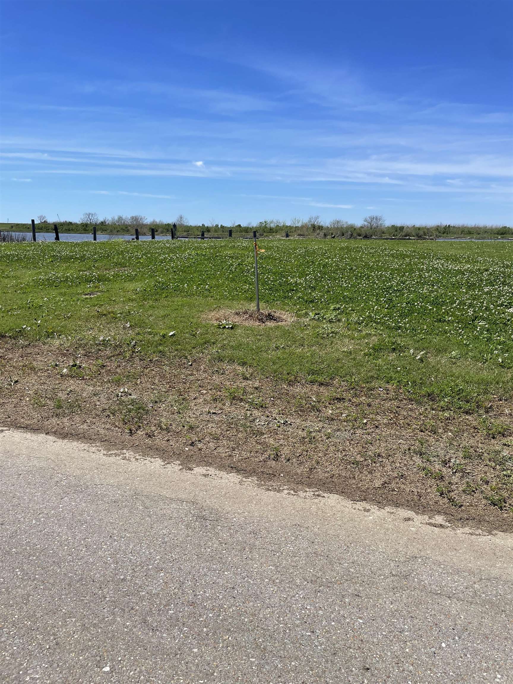 2164 Hwy 55 (batture), Montegut, Louisiana image 5