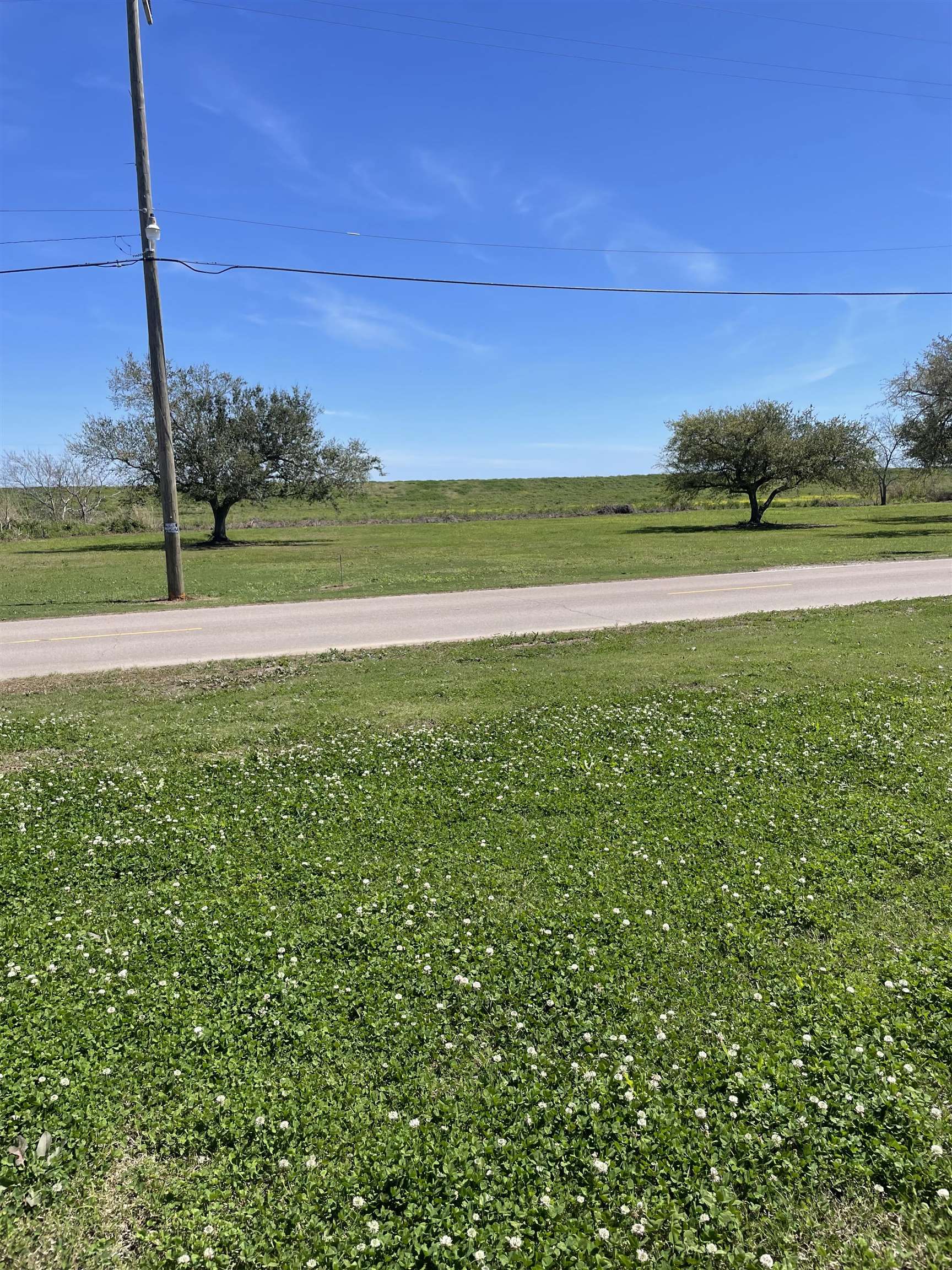 2164 Hwy 55 (batture), Montegut, Louisiana image 9