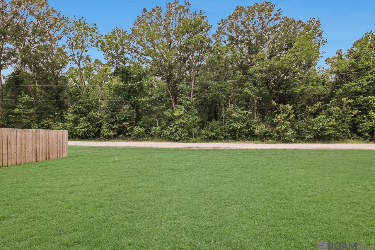 8223 Sweetgum Dr, Gonzales, Louisiana image 27