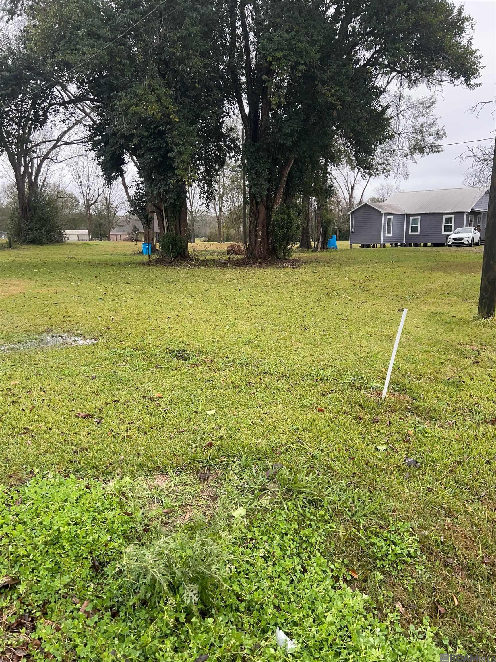 Lot 2-A-2 Island Rd, Ventress, Louisiana image 3