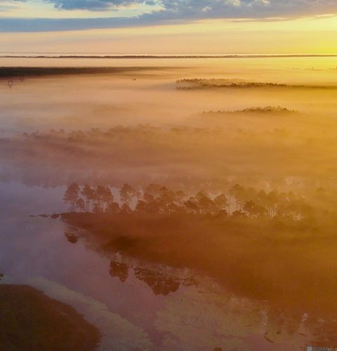 Vacant Land For Sale - 4240 JANA Lane Ln<br/> Kiln, MS 39556